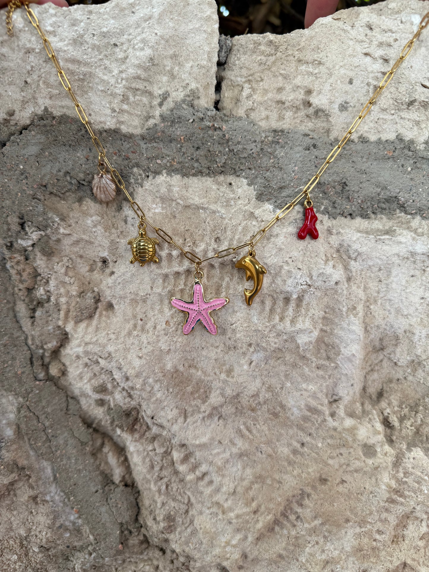 The Starfish Cove-                                  Handmade in Small batches